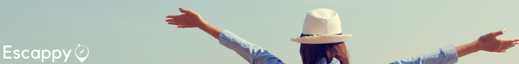 Banner largo (1)