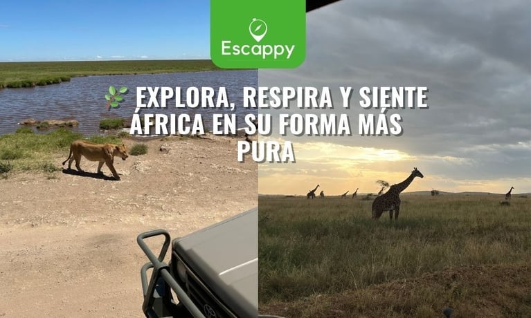 🦁 ¿Por qué los safaris en Tanzania y Uganda están en la lista de los viajeros más aventureros del mundo?