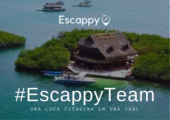 Una loca citadina viviendo en una isla